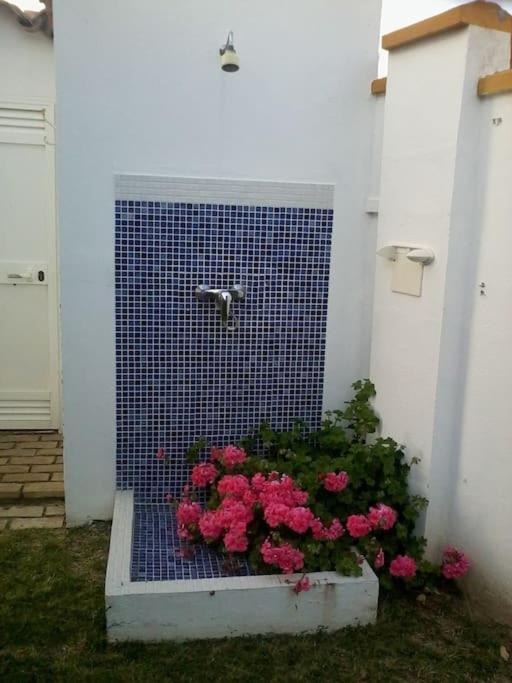 El Magnolio Villa Chiclana de la Frontera Luaran gambar