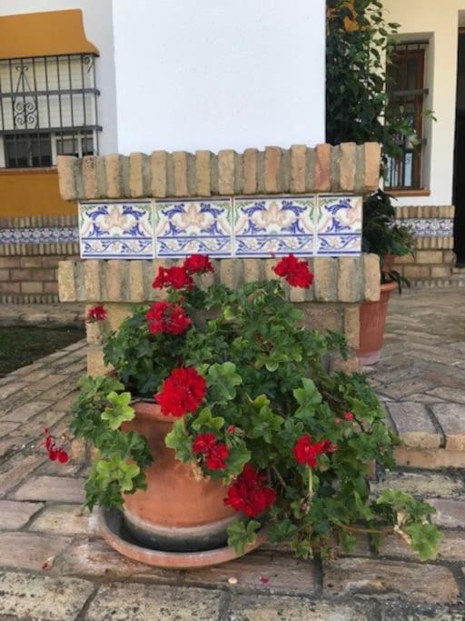 El Magnolio Villa Chiclana de la Frontera Luaran gambar